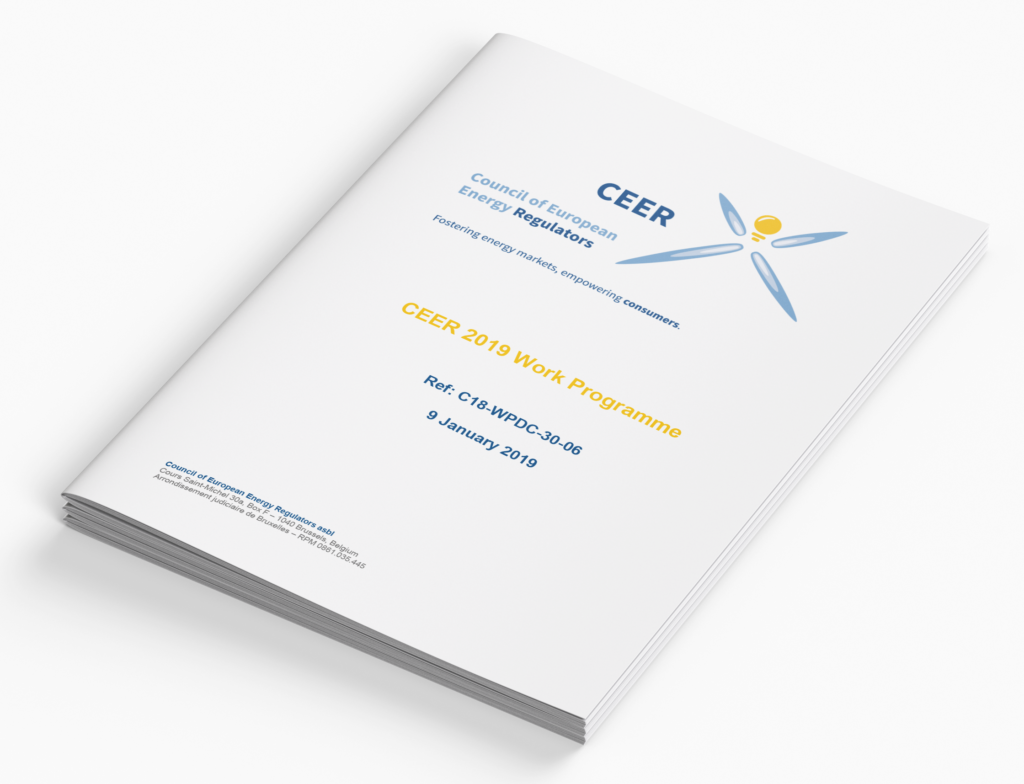 CEER Work Programme 2019