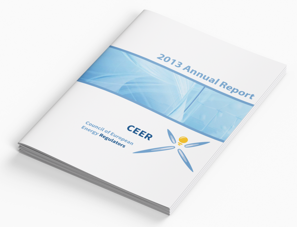 CEER Annual Report 2013