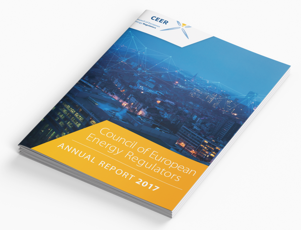 CEER Annual Report 2017