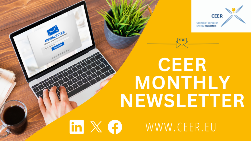 CEER Newsletter – May 2024