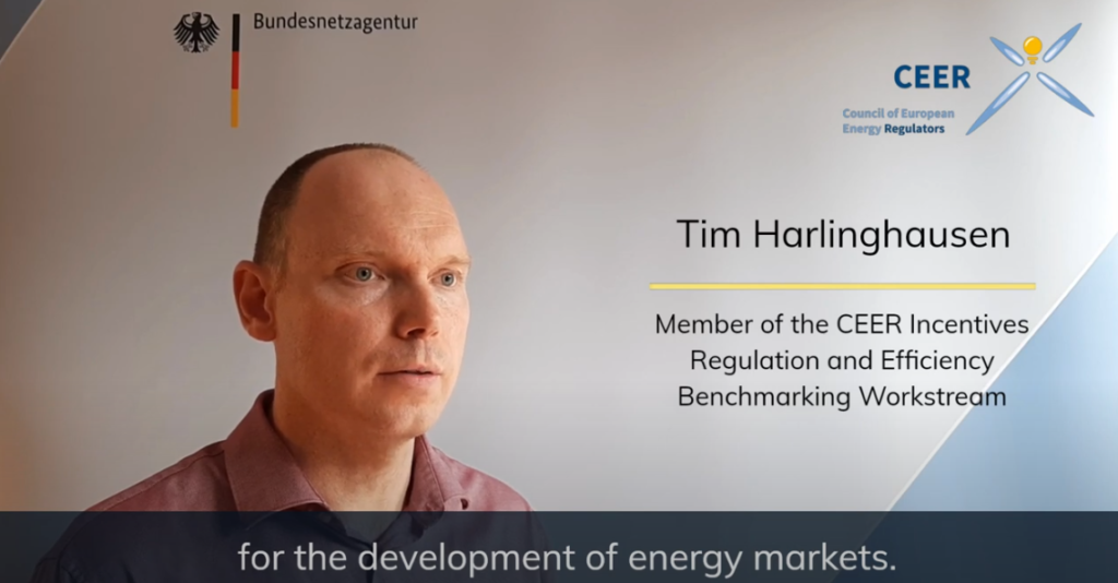 Regulatory Frameworks for European Energy Networks