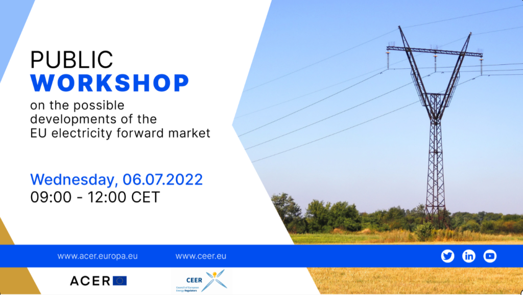 ACER-CEER Public Workshop on the possible developments of the EU electricity forward market (online)