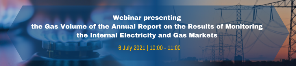 Webinar presenting the Gas Volume of the ACER-CEER Annual Report on the Results of Monitoring the Internal Electricity and Gas Markets