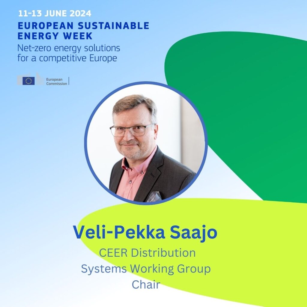 EUSEW 2024: What about flexibility? How customers can improve power systems
