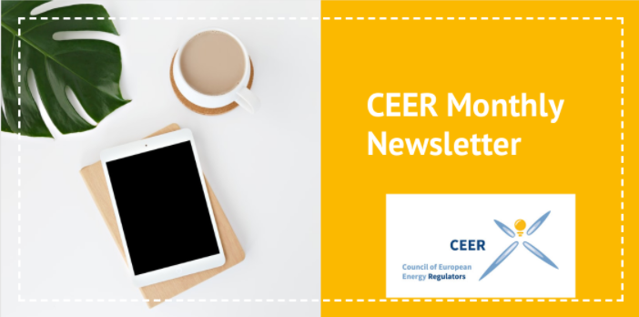 CEER Newsletter – July/August 2023